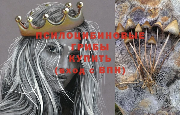винт Абинск