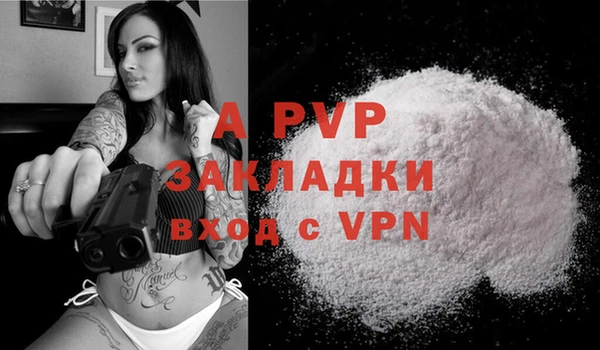 хмурый Абаза
