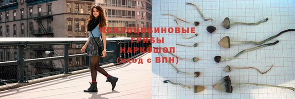 spice Алексеевка