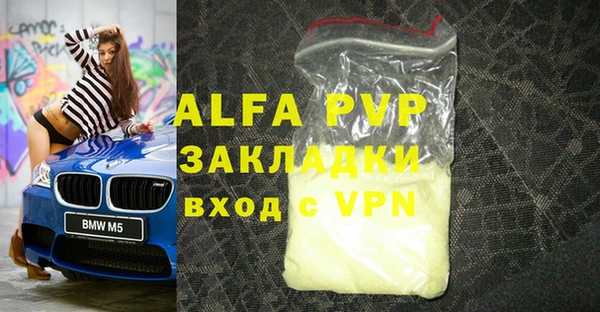 хмурый Абаза