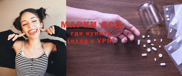 хмурый Абаза