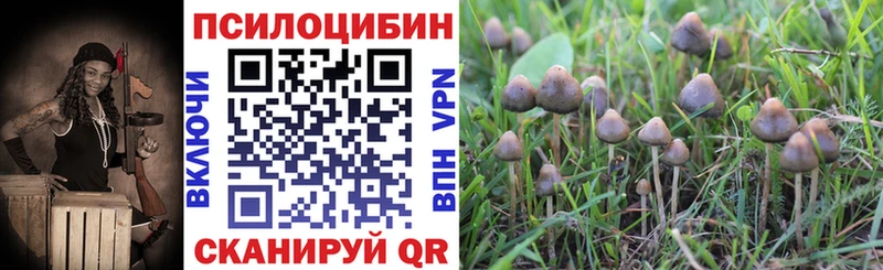 Псилоцибиновые грибы Psilocybine cubensis  Южа 